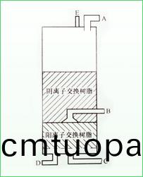 1597029713112089.jpg 1.jpg